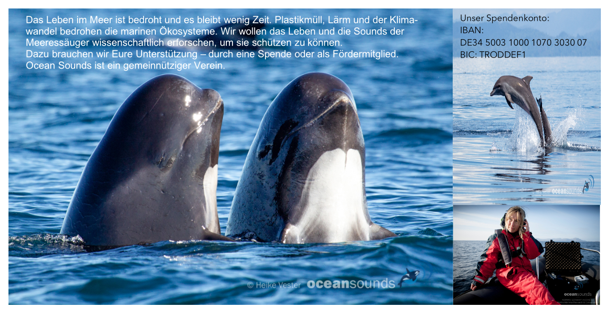 Wale+Delfine_FlyerRueckseite2